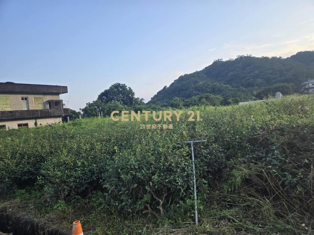 CC617礁溪三民農地