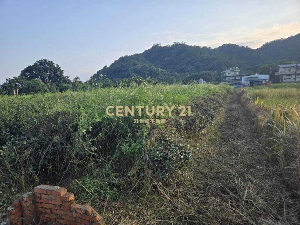 CC617礁溪三民農地