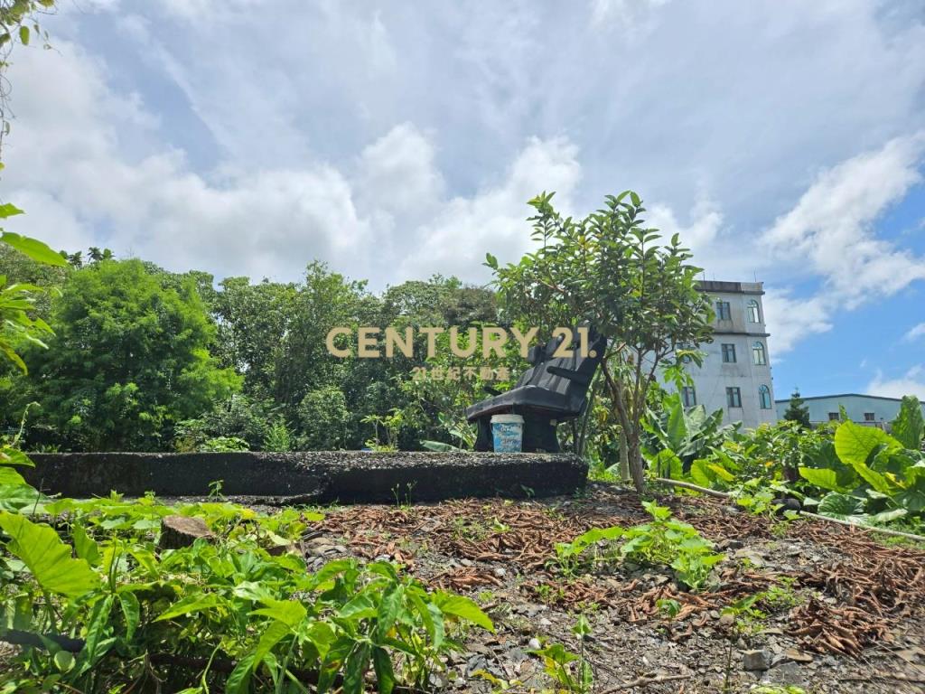 GC401頭城方正低總價農地