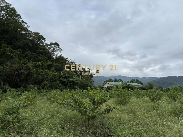 GC412員山隘界三段林地