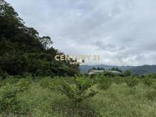 GC412員山隘界三段林地