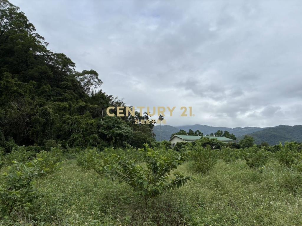 GC412員山隘界三段林地