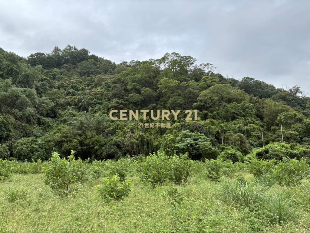 GC412員山隘界三段林地