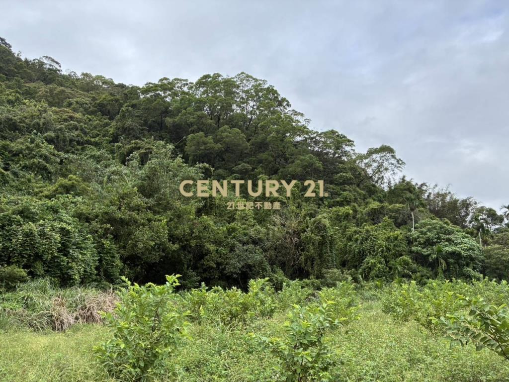 GC412員山隘界三段林地