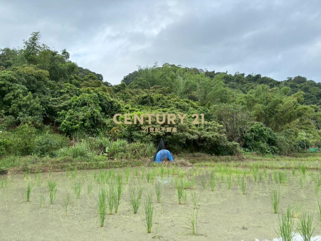 GC412員山隘界三段林地