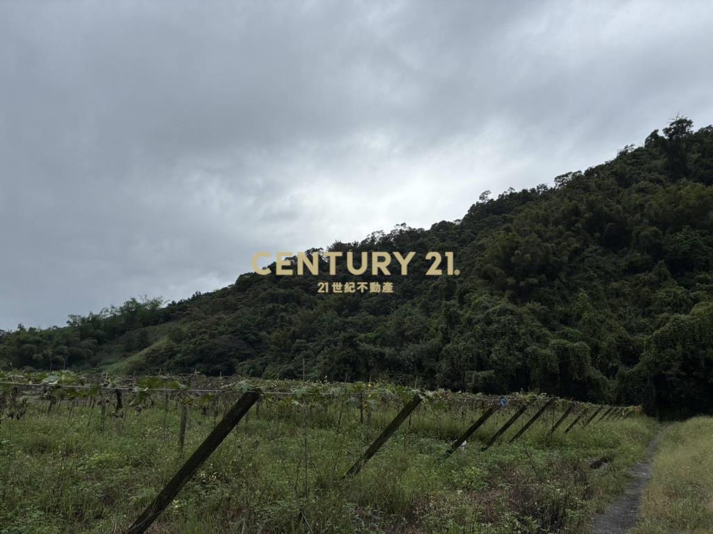 GC412員山隘界三段林地