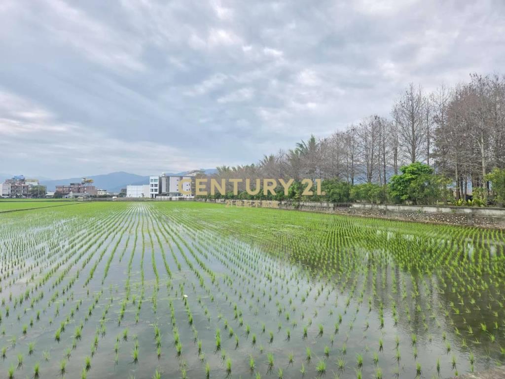 GC417壯圍方正老農農地