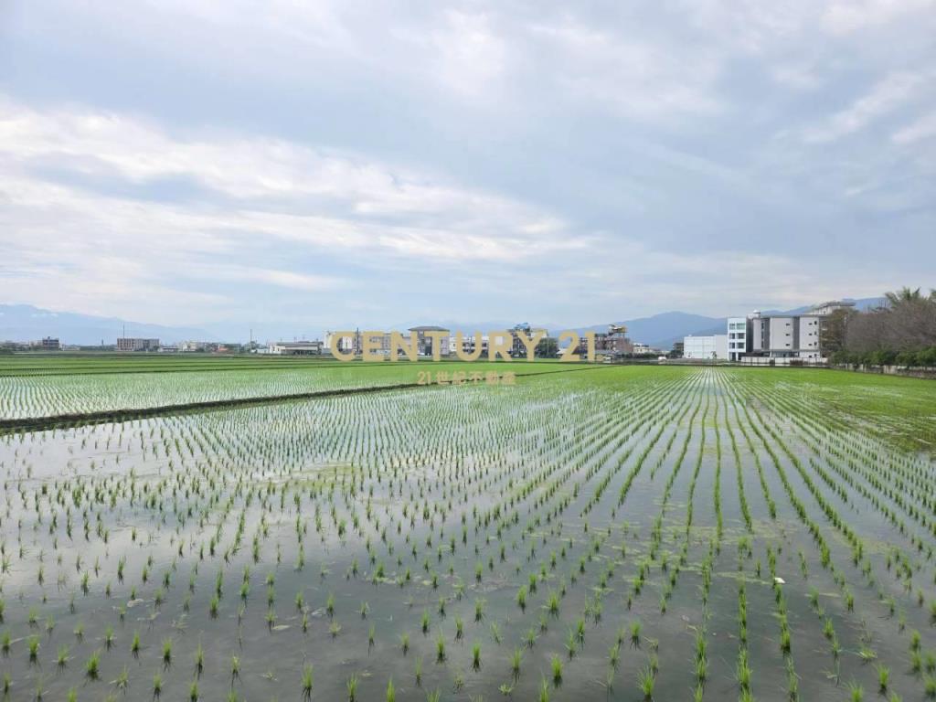 GC417壯圍方正老農農地