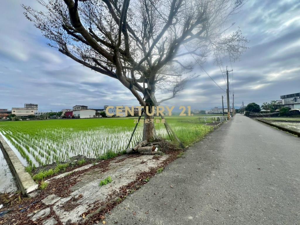 GC418員山新三泰20米面寬美農地