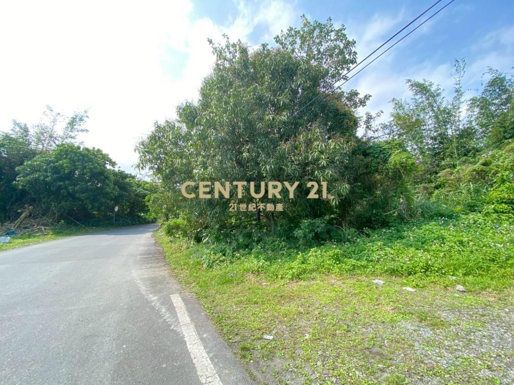 GD108羅東轉運站旁大坪數方正建地