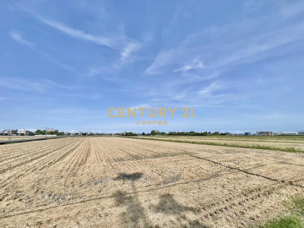 GC421壯圍明星中學旁剛好足坪農地