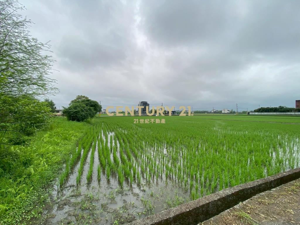 GC422員山深福雙面路美農地