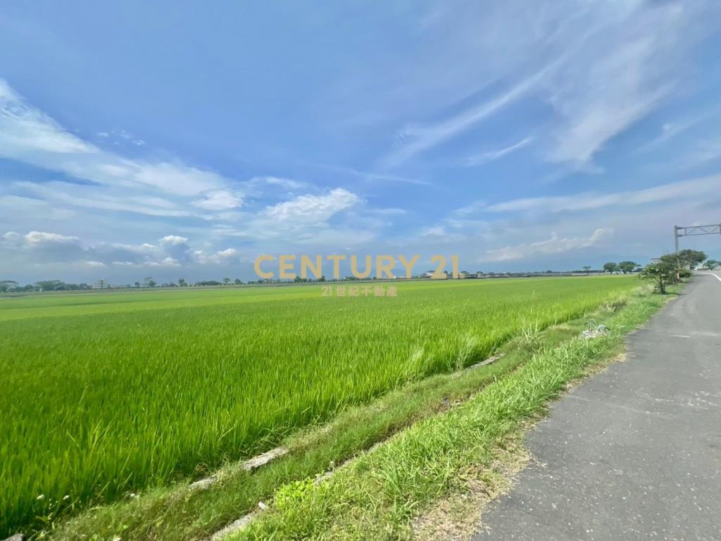 GC423壯圍新南雙面路美農地