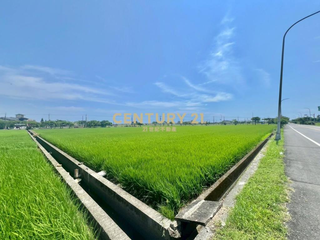 GC424壯圍新南超大面寬千坪美農地