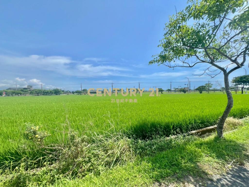 GC424壯圍新南超大面寬千坪美農地