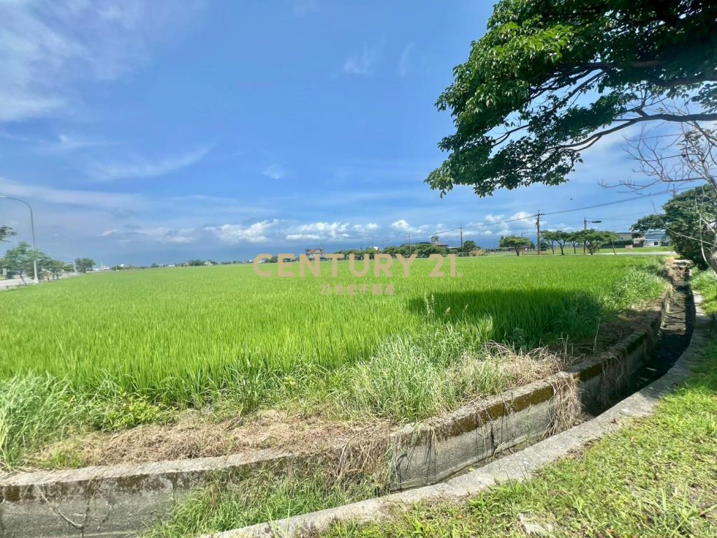 GC424壯圍新南超大面寬千坪美農地