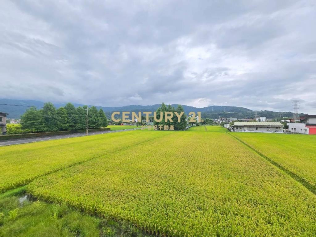 GE116員山全新電梯豪華農舍