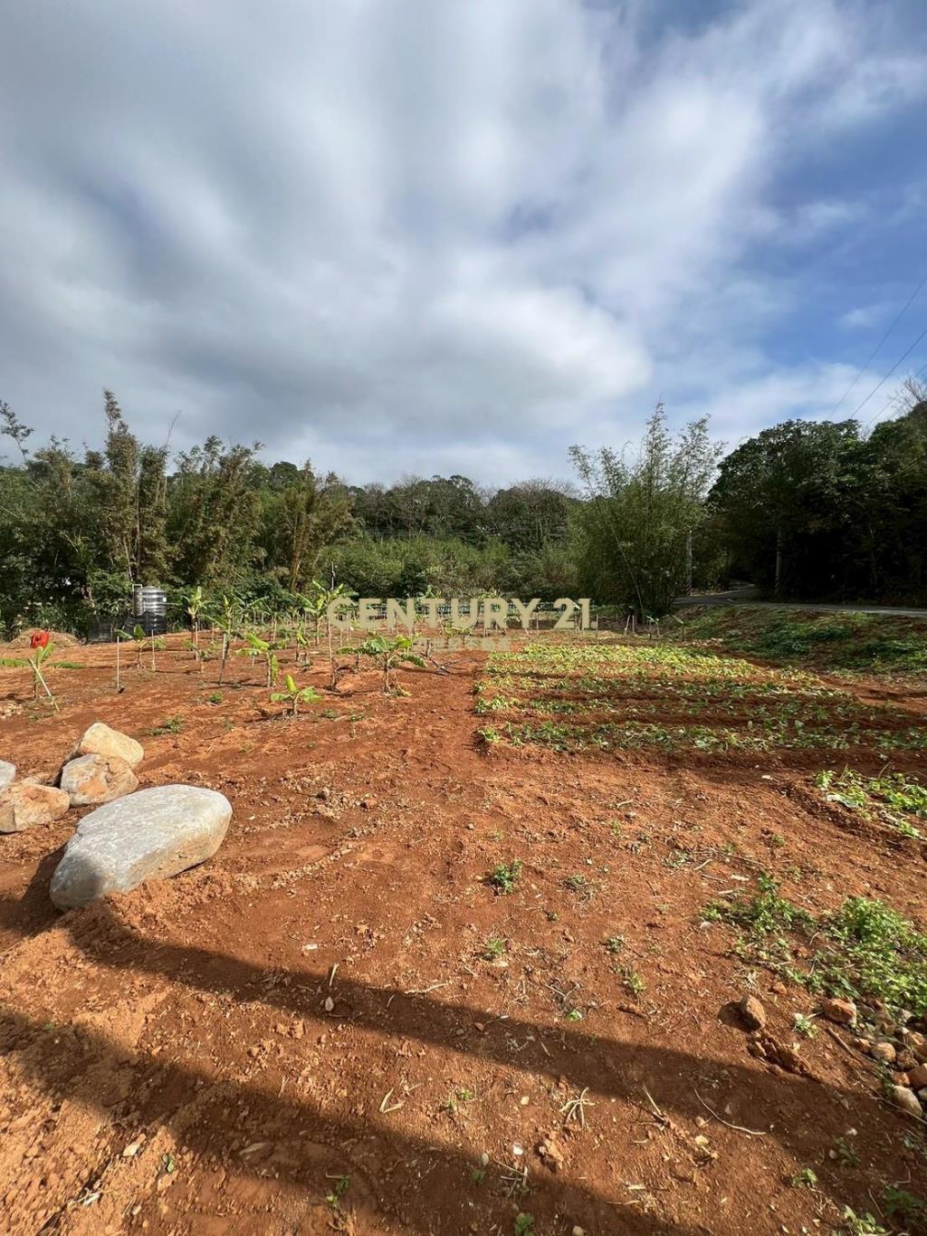 三芝小坪數低總價美地