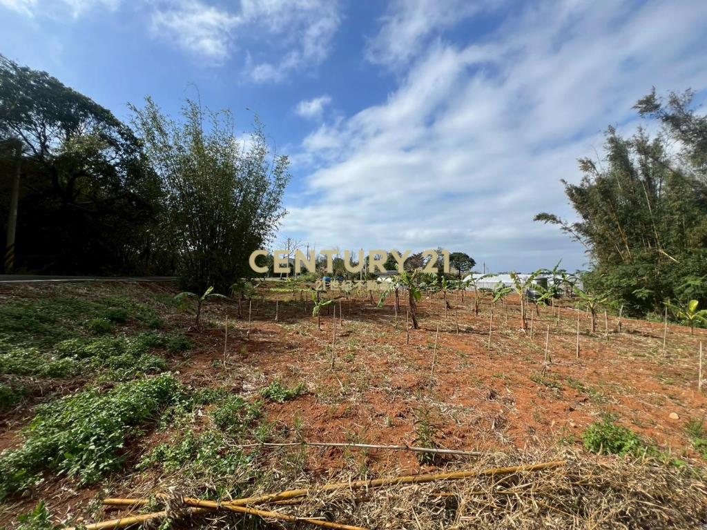 三芝小坪數低總價美地