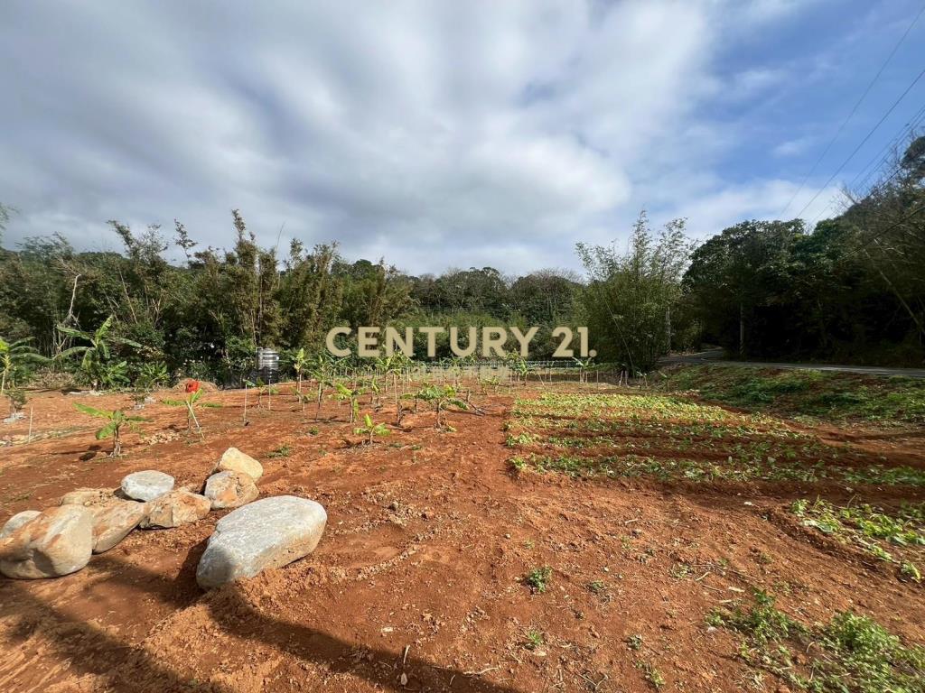 三芝小坪數低總價美地