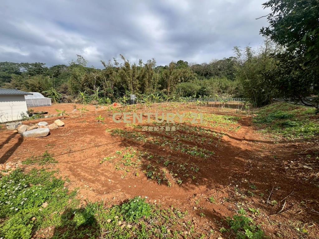 三芝小坪數低總價美地