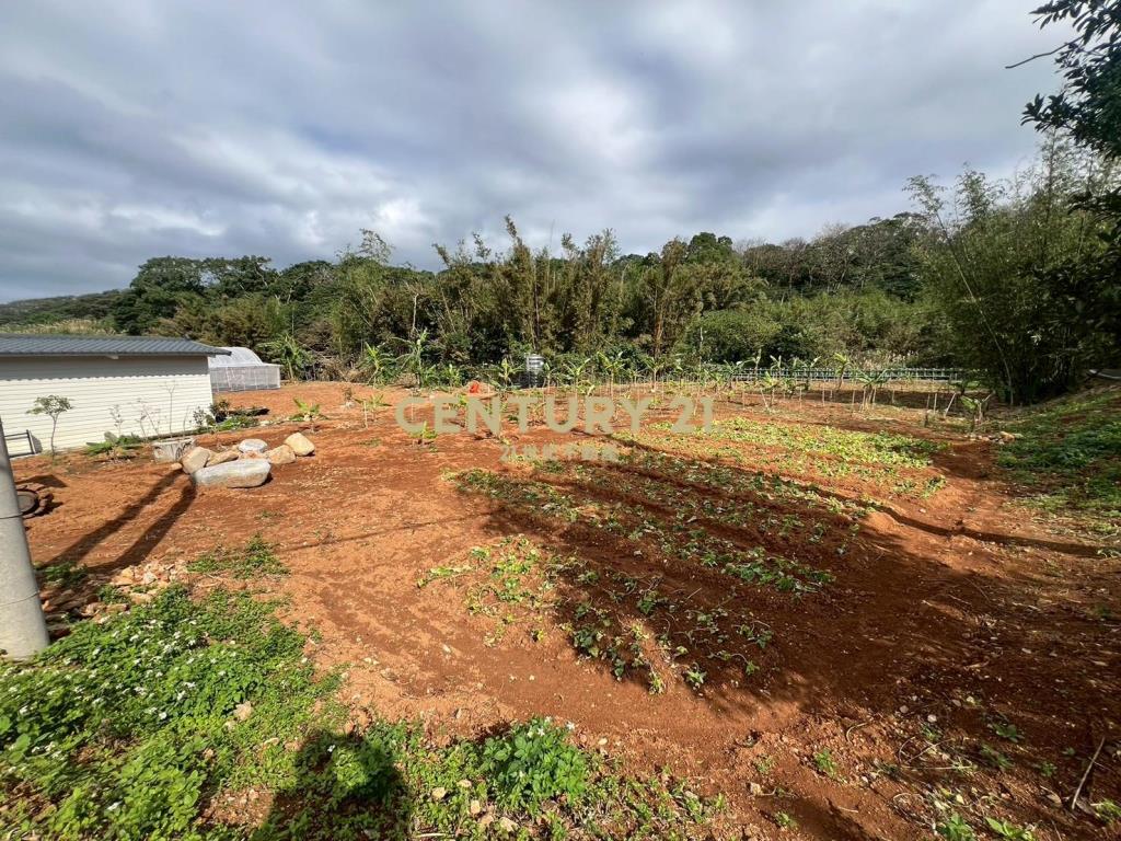 三芝小坪數低總價美地