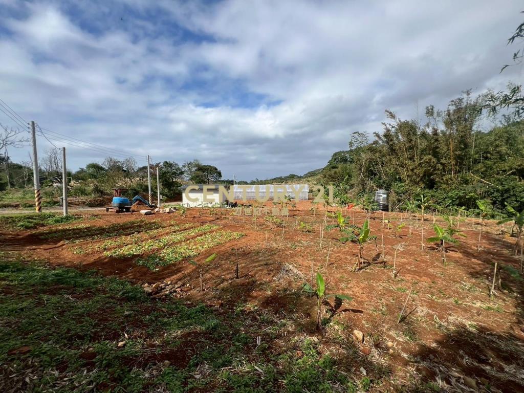 三芝小坪數低總價美地