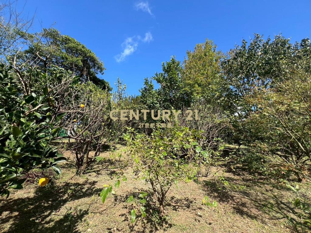 台北市陽明山買土地附合法資材室