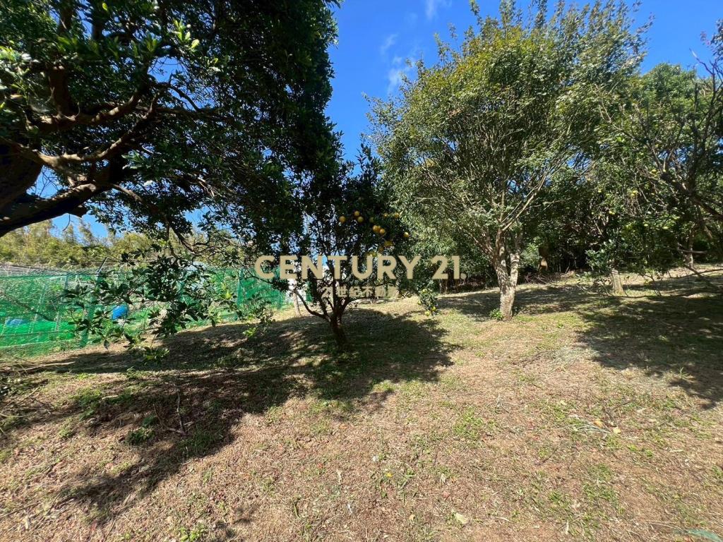 台北市陽明山買土地附合法資材室