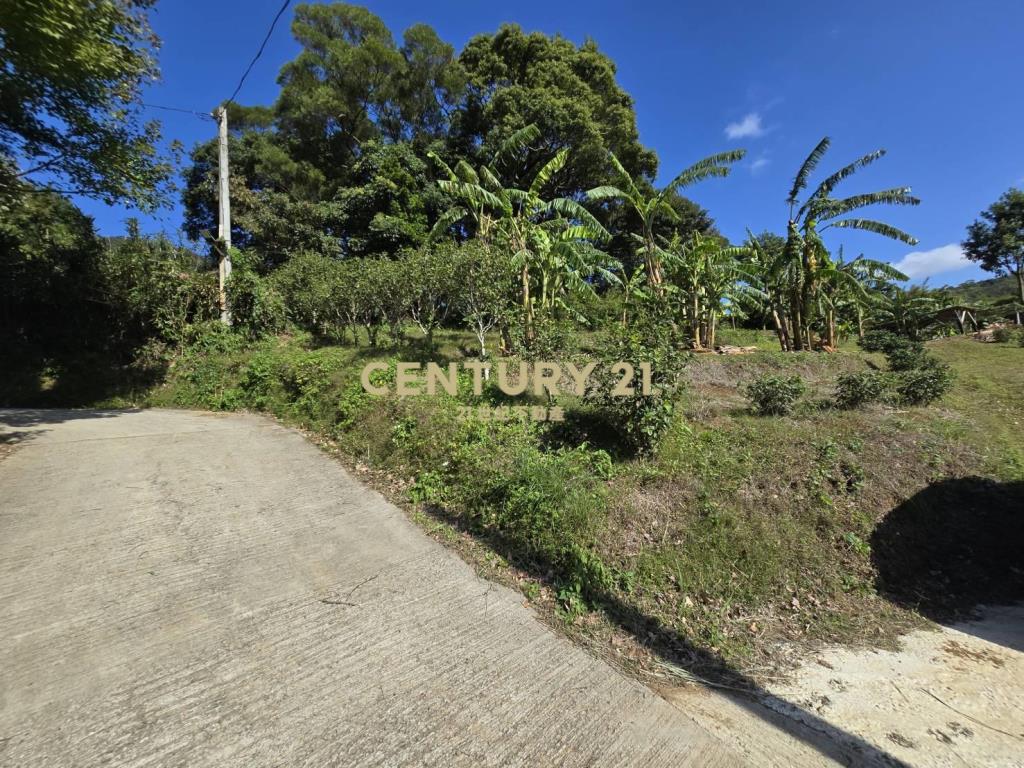 台北市陽明山買土地附合法資材室