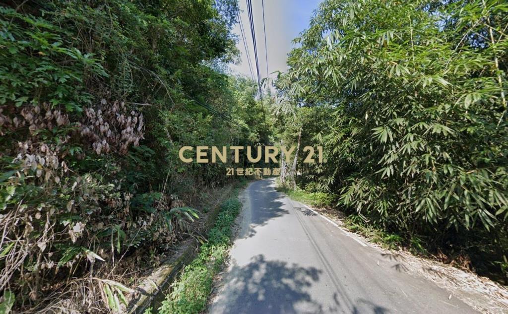 分水寮段低總價臨路農地