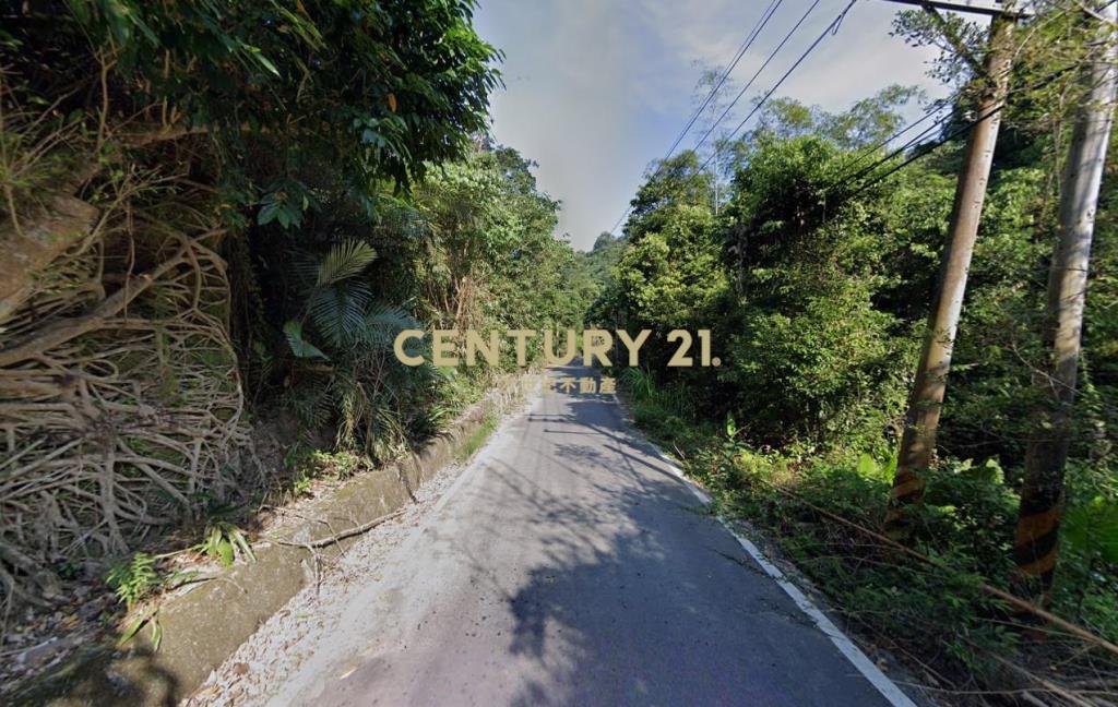 分水寮段低總價臨路農地