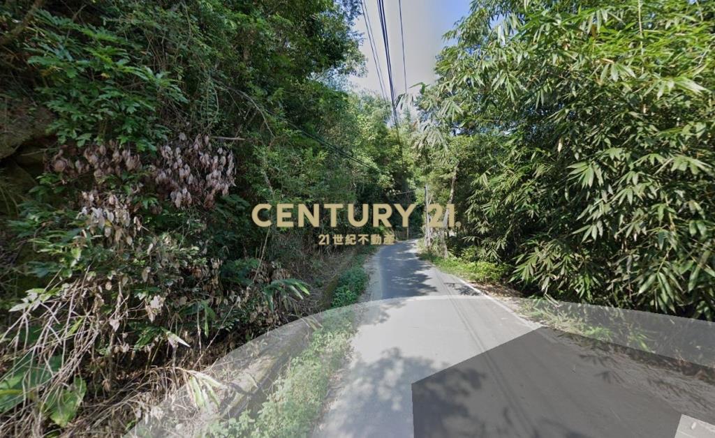 分水寮段低總價臨路農地