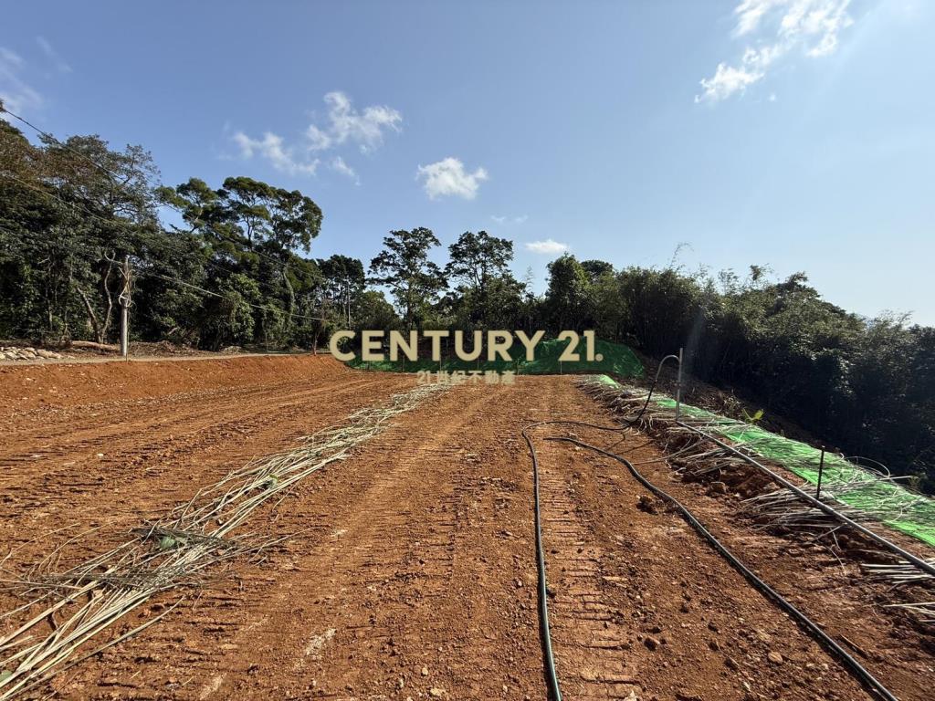 淡水中和段階梯式農地