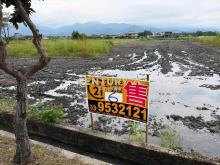 HC141三星新健富段稀有老農夫的地