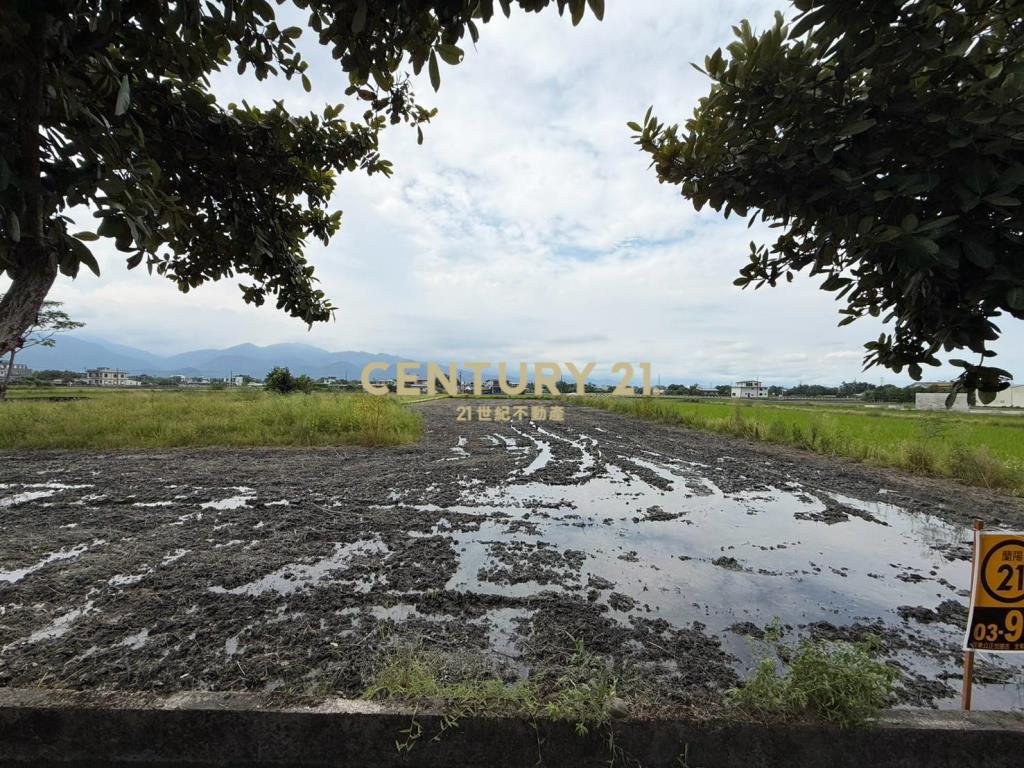 HC141三星新健富段稀有老農夫的地