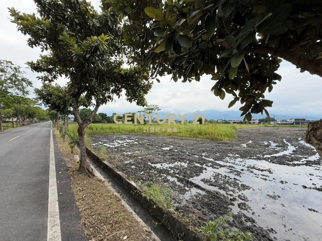 HC141三星新健富段稀有老農夫的地