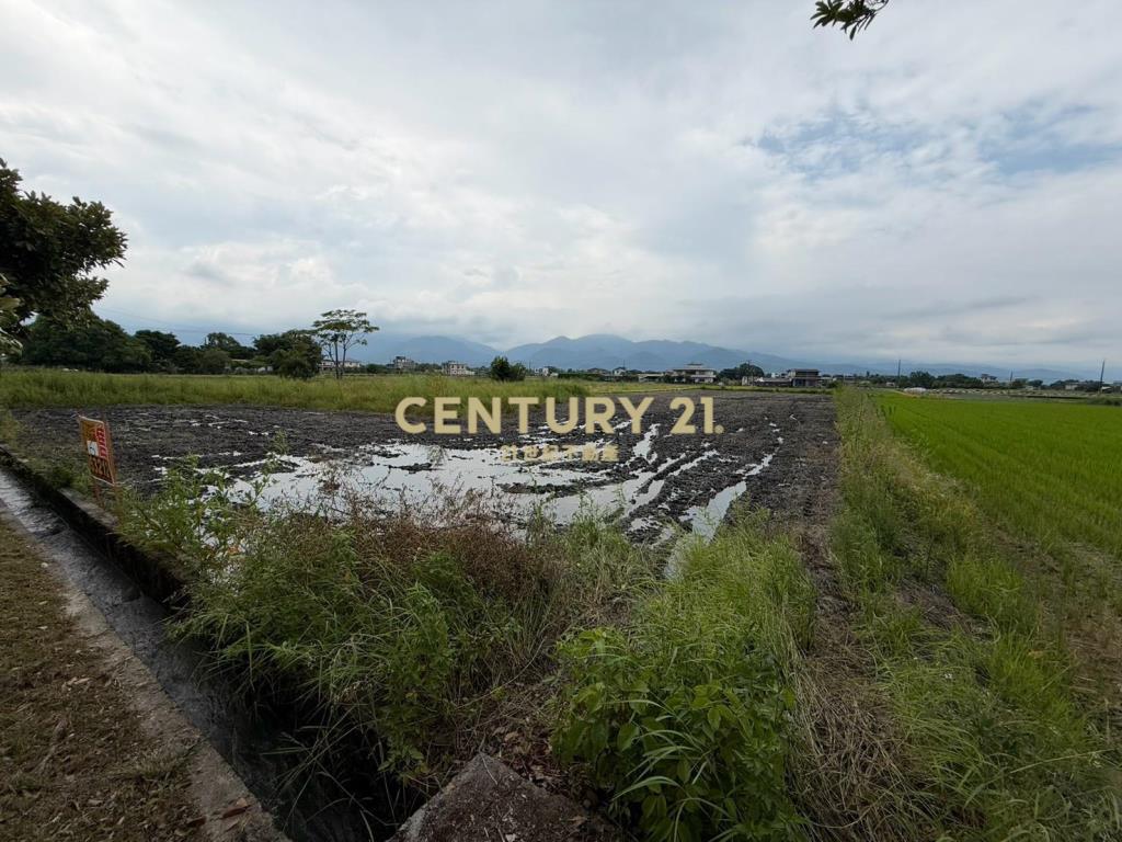 HC141三星新健富段稀有老農夫的地