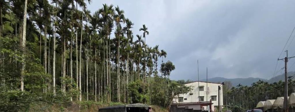 ㊝南投鹿谷農地