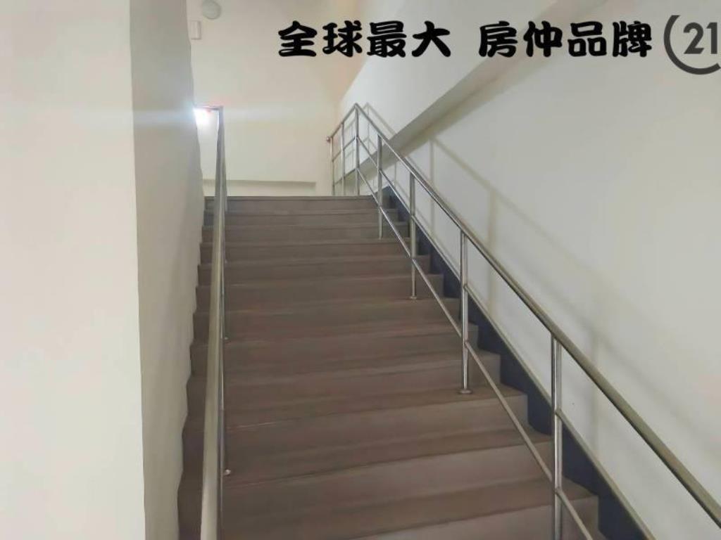 ㊝新莊鋼骨結構,透天廠房
