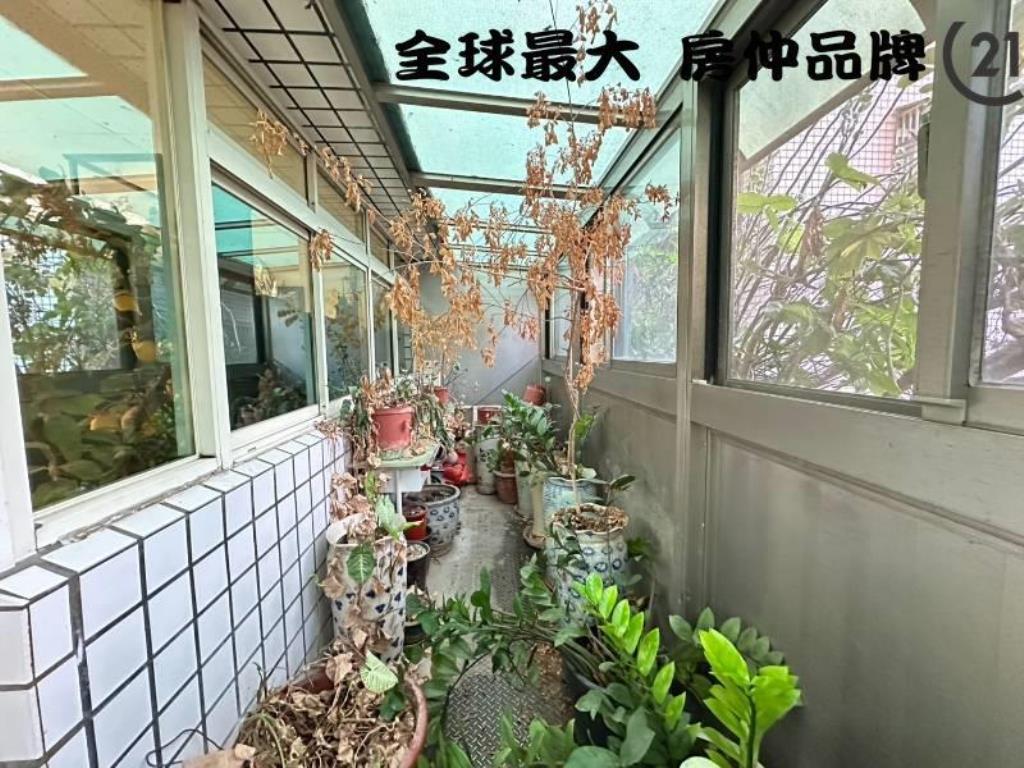 ㊝江子翠九泰企業天下