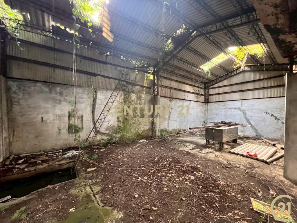 新竹新埔鎮照鏡(丙地+農牧用地)