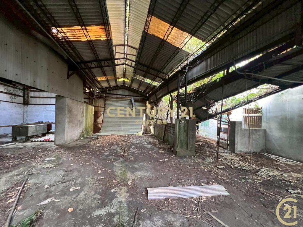 新竹新埔鎮照鏡(丙地+農牧用地)