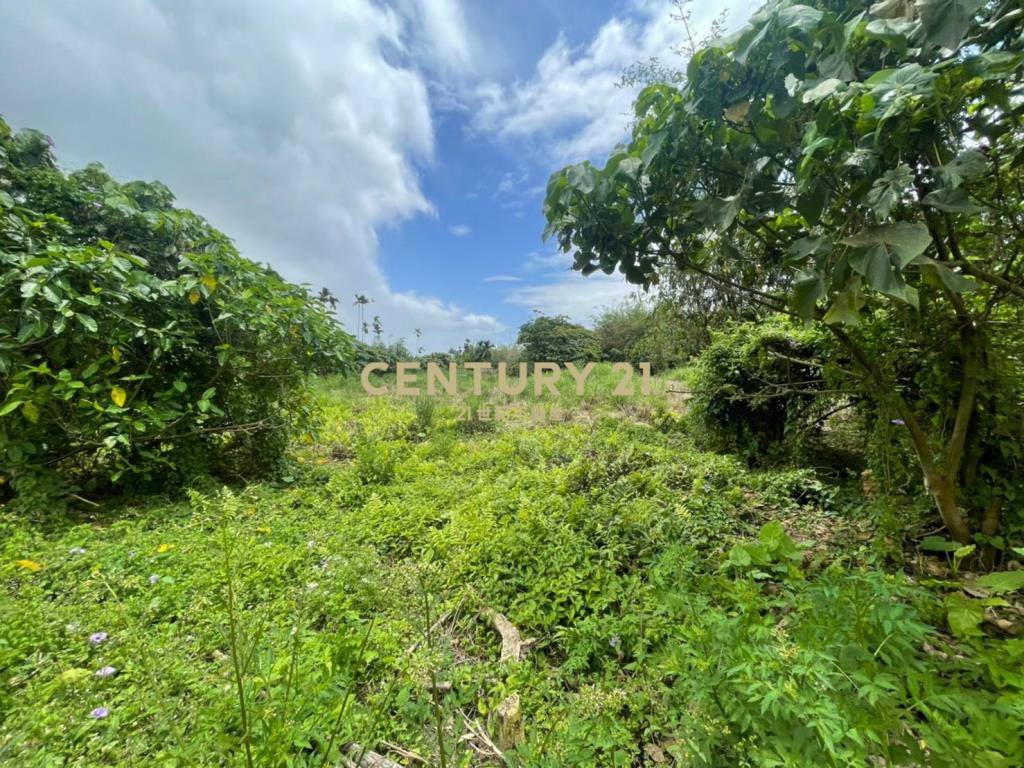 JD040員山永結農建地