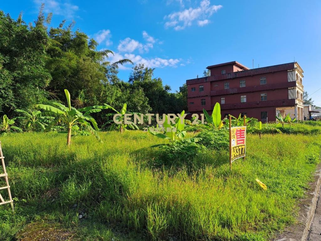 JC358頭城新竹安段靠海300農地