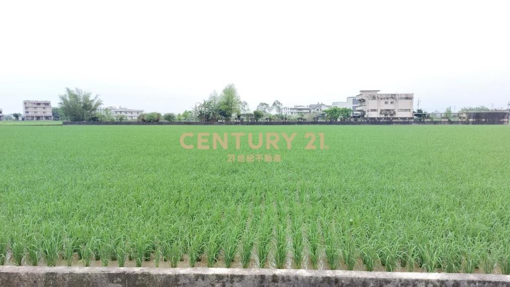 JC206礁溪玉光足坪農地