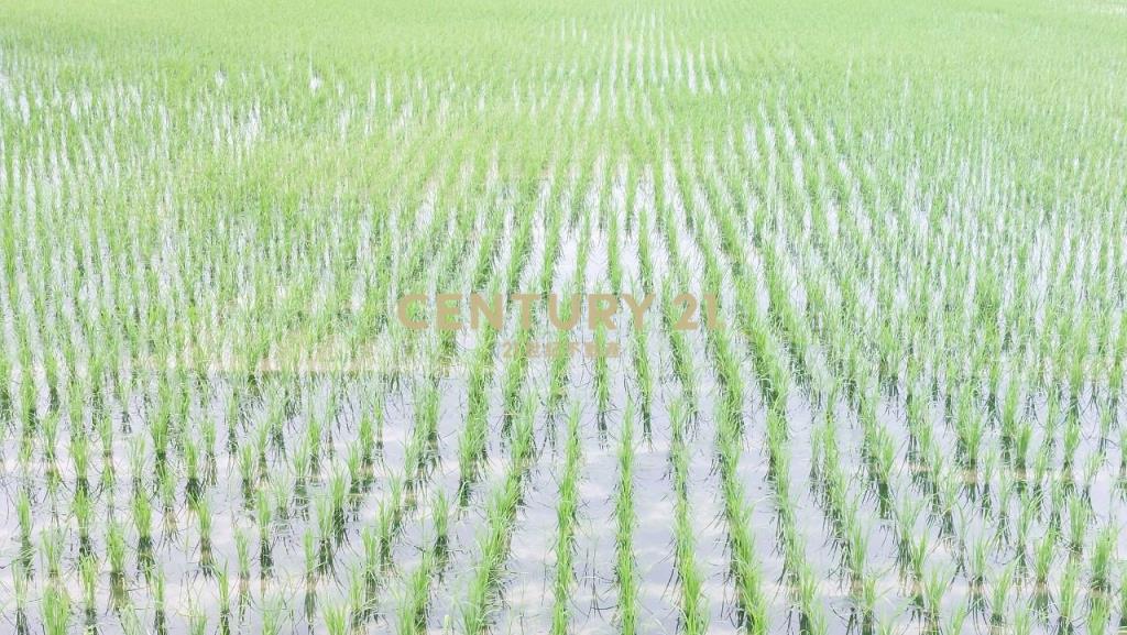 JC206礁溪玉光足坪農地