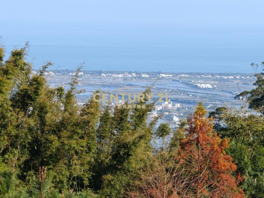 JC267礁溪近空A咖啡景觀農地