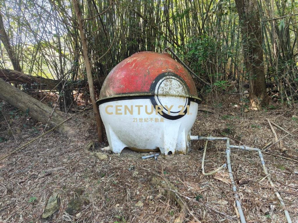 JC267礁溪近空A咖啡景觀農地