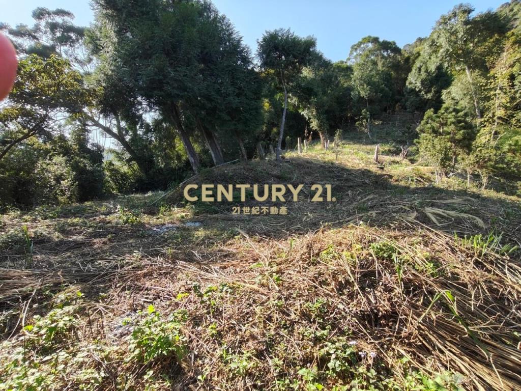 JC267礁溪近空A咖啡景觀農地